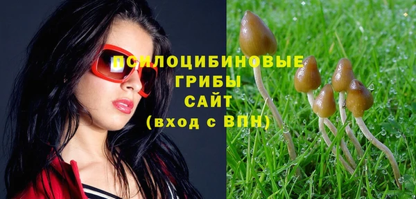 марки nbome Нефтегорск