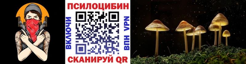 Псилоцибиновые грибы MAGIC MUSHROOMS  Рославль 